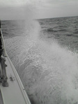 20080603.jpg
